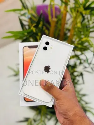Apple iPhone 12 128GB (Used)