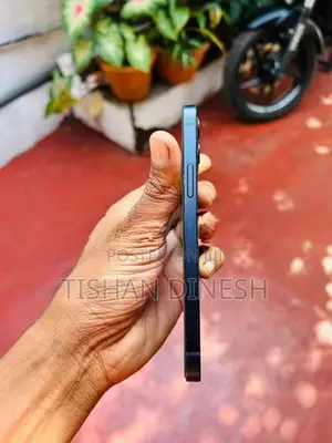 Apple iPhone 12 (Used)