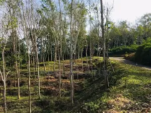 Tourism Lands Plots in Habaraduwa