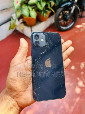 Apple iPhone 12 (Used)