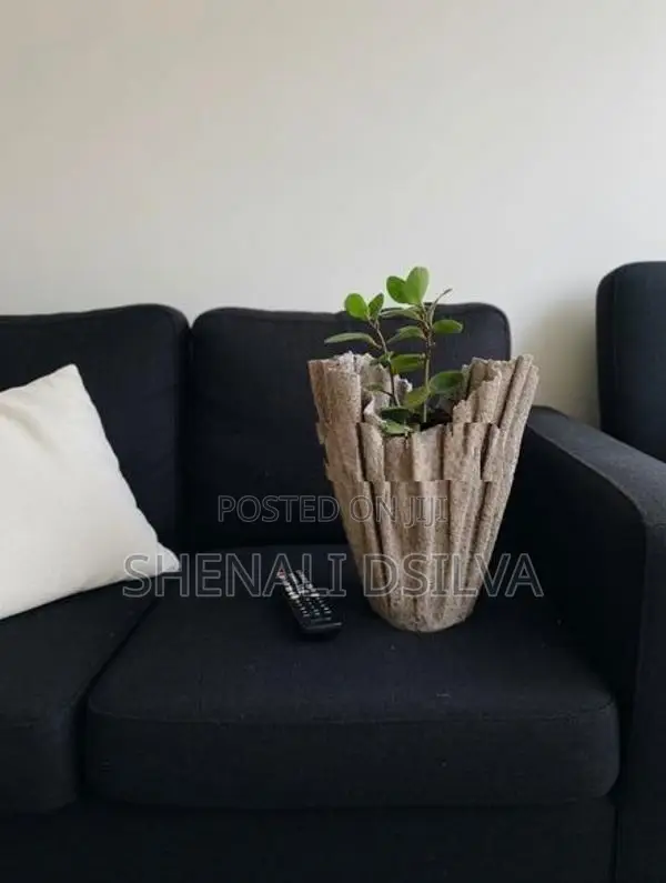 Cement Pots