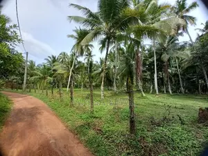 199 Perch Land for Sale in Minuwangoda Kalawana
