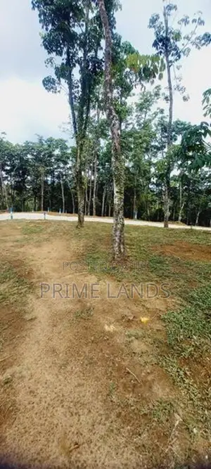 හොරණ නගරය ආසන්නයේන් වටිනා ඉඩම්