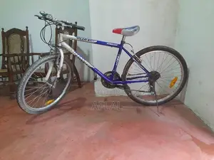 Lumala Bicycle