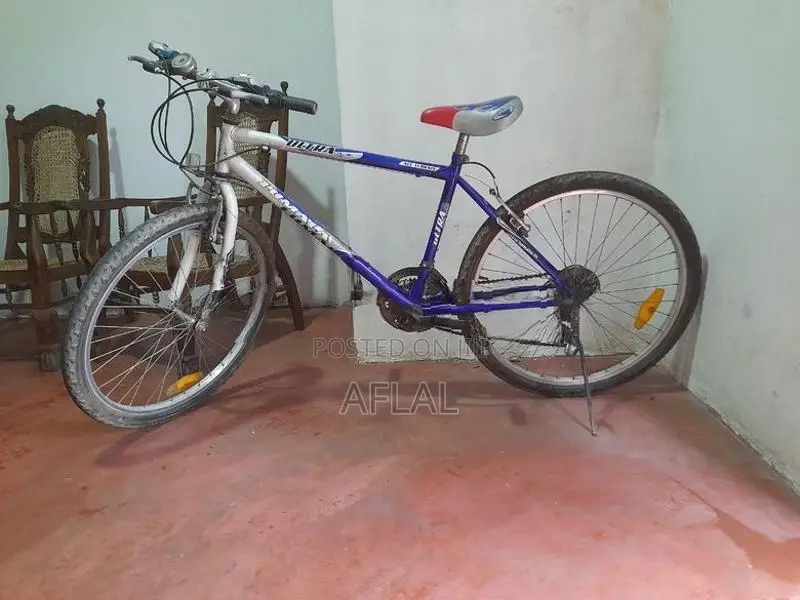Lumala Bicycle