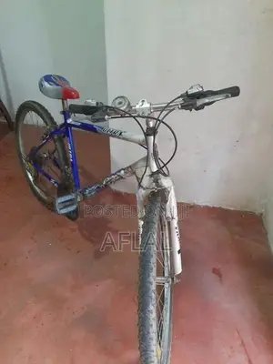 Lumala Bicycle