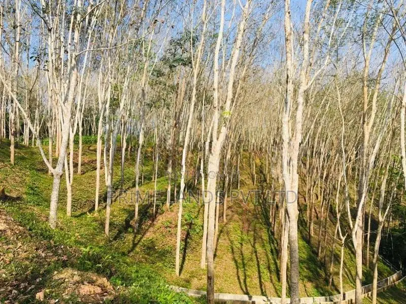 හබරාදුව ඉඩමක්