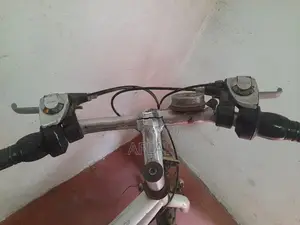 Lumala Bicycle