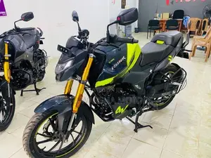 Hero Hunk 160R Brand New 2026