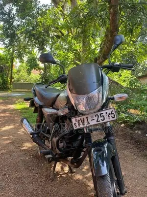 Bajaj Platina 2010