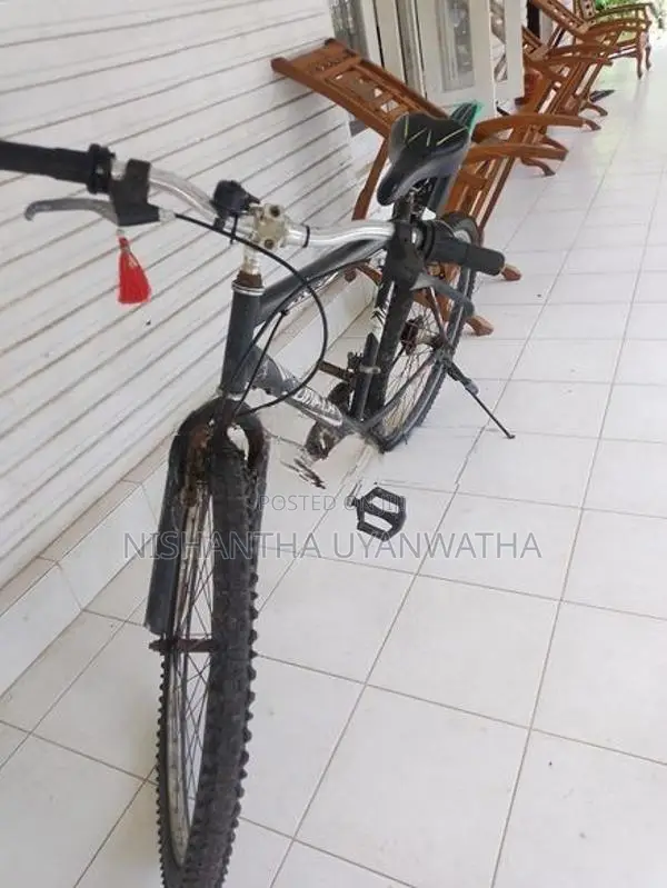 Bicycle