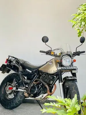 Yamaha TW 2011