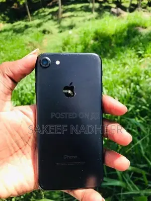 Apple iPhone 7 256GB (Used)