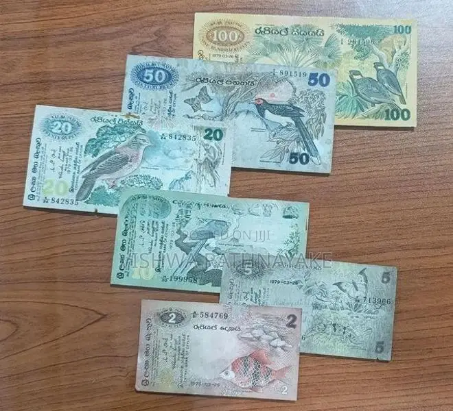 Old Notes