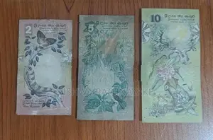 Old Notes