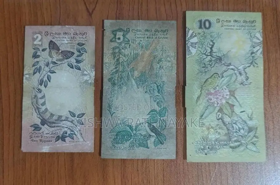 Old Notes