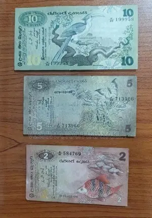 Old Notes