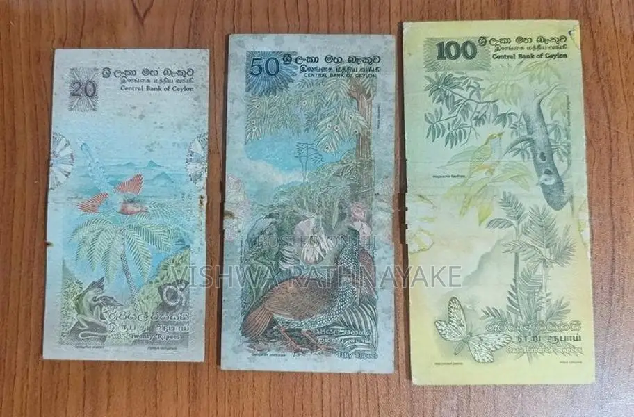 Old Notes