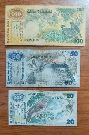 Old Notes