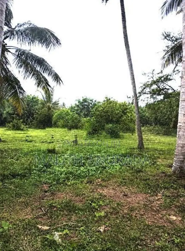15 Perch Land for Sale Pannala, Irabadagama