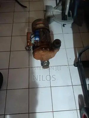 Jinasena 2" Water Pump