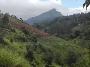Land for Sale-Haputhale