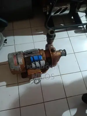 Jinasena 2" Water Pump