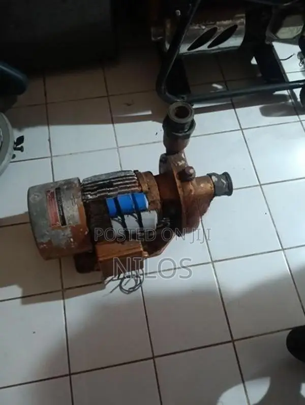 Jinasena 2" Water Pump