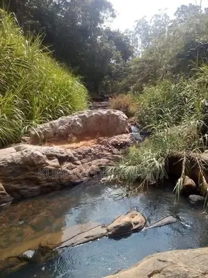 Land for Sale-Haputhale