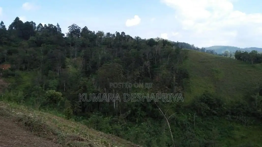 Land for Sale-Haputhale