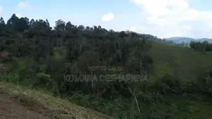 Land for Sale-Haputhale