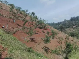 Land for Sale-Haputhale