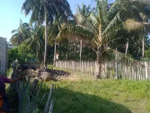 Trincomalee Land for Sale