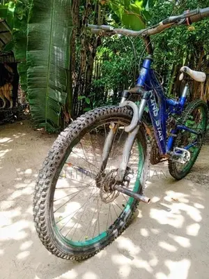 Kingstar Bicycle