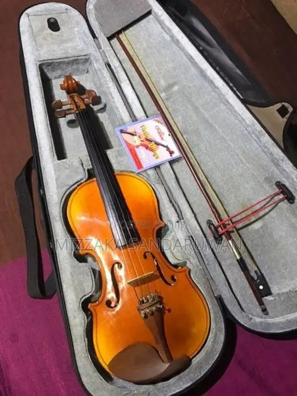 Hyojeong 4/4 Violin Full Set