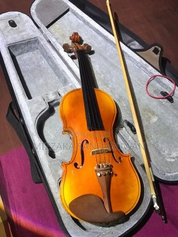 Hyojeong 4/4 Violin Full Set