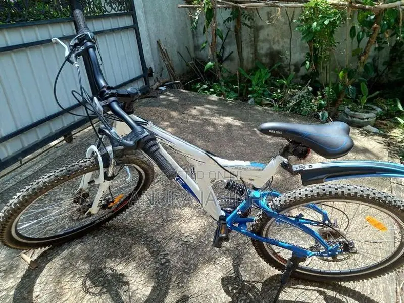 Dsi Trx Bicycle