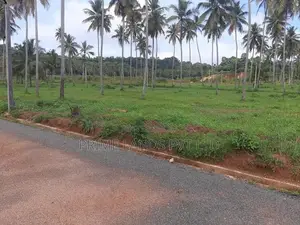 නාරම්මලින් ඉඩමක්