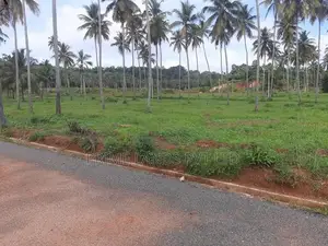 නාරම්මලින් ඉඩමක්