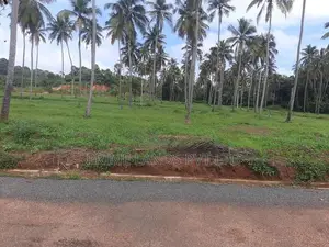 නාරම්මලින් ඉඩමක්