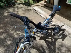 Dsi Trx Bicycle