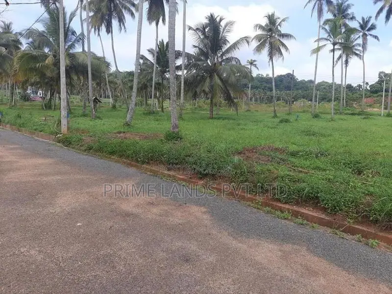 නාරම්මලින් ඉඩමක්