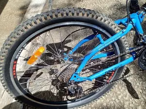 Dsi Trx Bicycle