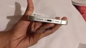 Apple iPhone 12 (Used)