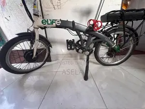 Electric Bicycle