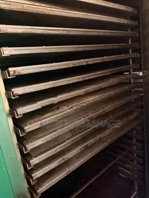 Dryer Food Grade 600kg