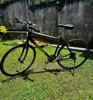 Giant Escape R3 Bicycle