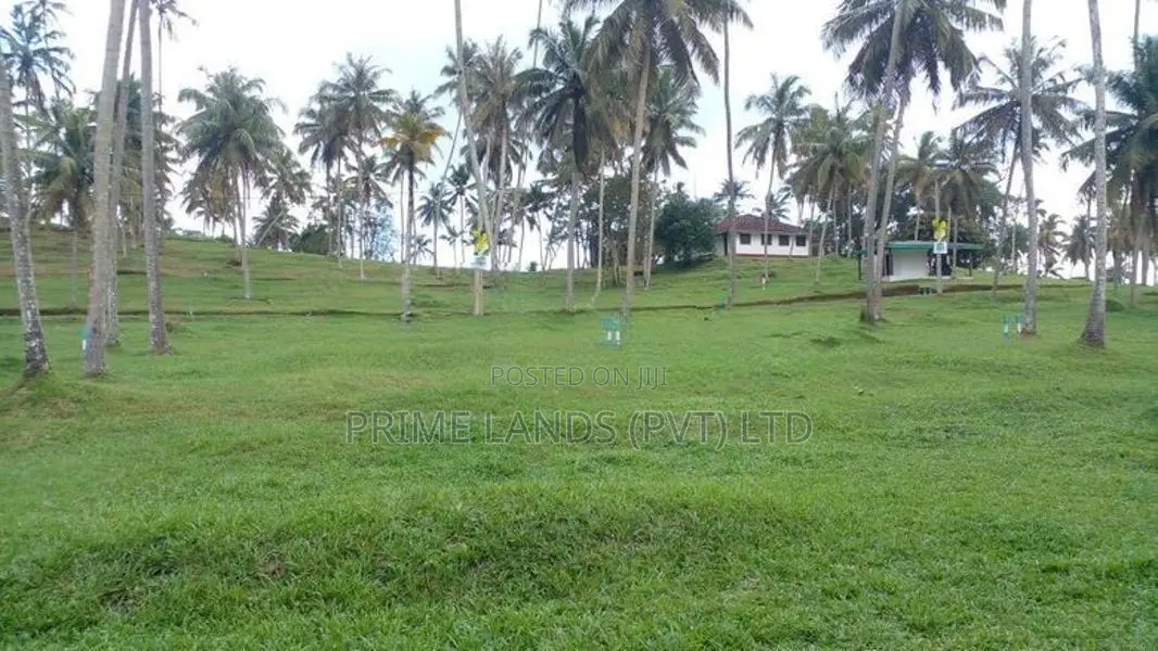 මාතර ලැබීමෙන් බිම් කොටස්