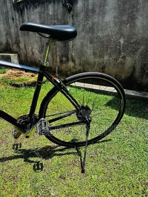 Giant Escape R3 Bicycle