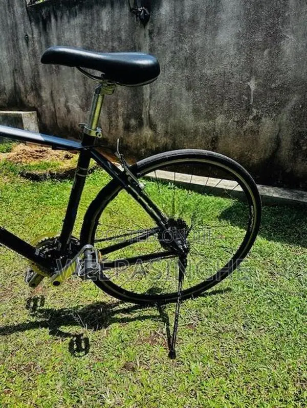 Giant Escape R3 Bicycle